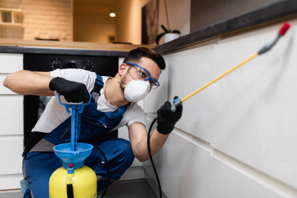 Best Mosquito Control Services  in Sublimity, OR