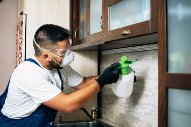 Best Cockroach Control Services  in Sublimity, OR