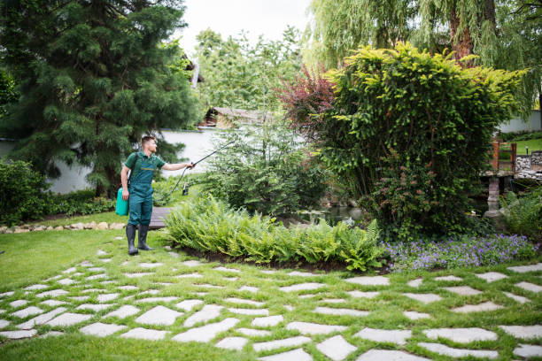 Best Rat Extermination Near Me  in Sublimity, OR