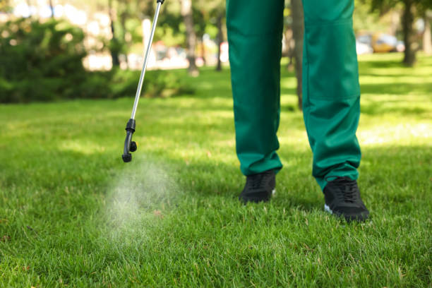 Flea Control Services in Sublimity, OR