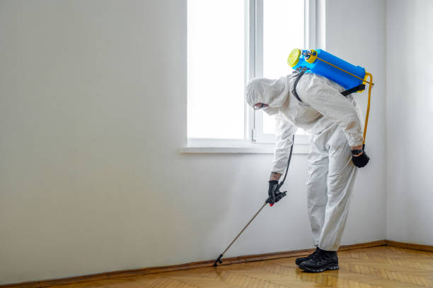 Best Local Pest Control Services  in Sublimity, OR