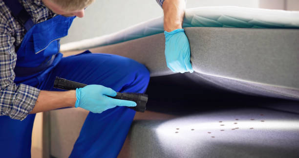 Best Wasp Removal Services  in Sublimity, OR