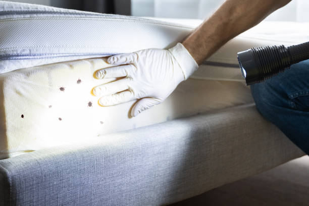 Best Residential Pest Control  in Sublimity, OR