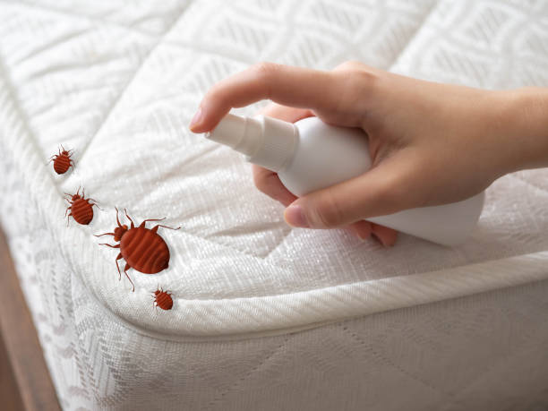 Best Spider Control Near Me  in Sublimity, OR